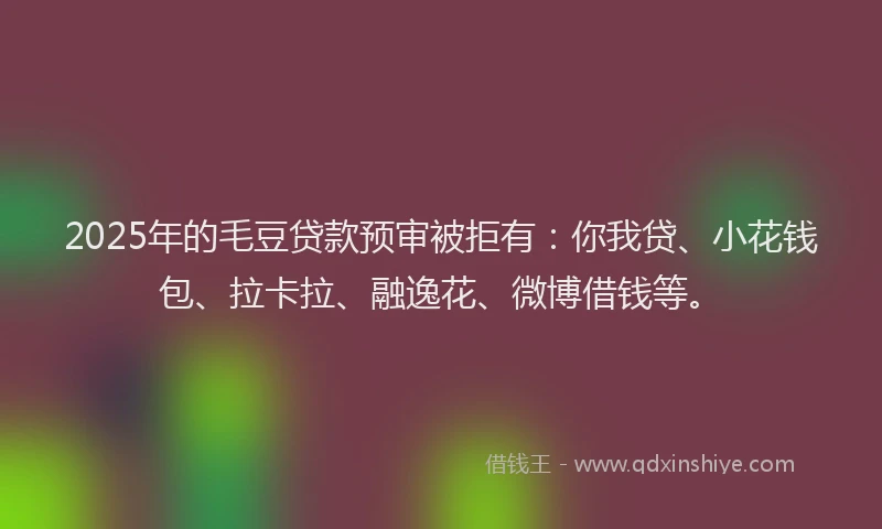 2025年的毛豆贷款预审被拒有：你我贷、小花钱包、拉卡拉、融逸花、微博借钱等。
