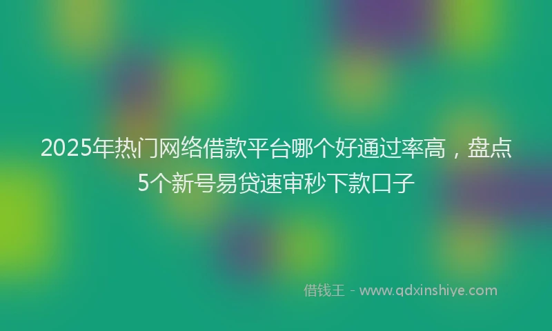 2025年热门网络借款平台哪个好通过率高，盘点5个新号易贷速审秒下款口子