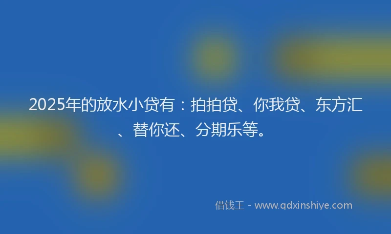 2025年的放水小贷有：拍拍贷、你我贷、东方汇、替你还、分期乐等。