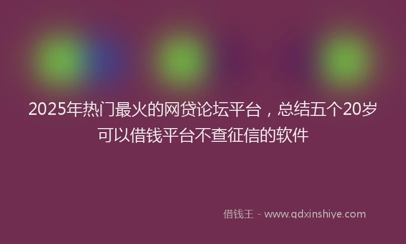 2025年热门最火的网贷论坛平台，总结五个20岁可以借钱平台不查征信的软件
