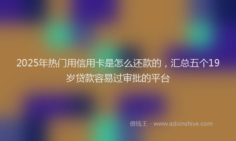 2025年热门用信用卡是怎么还款的，汇总五个19岁贷款容易过审批的平台