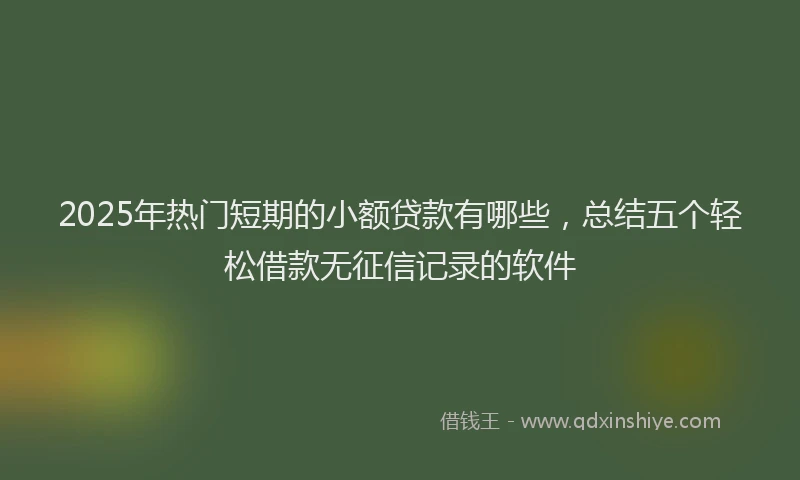 2025年热门短期的小额贷款有哪些，总结五个轻松借款无征信记录的软件