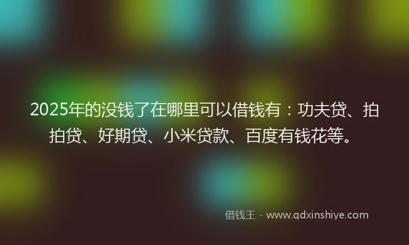 2025年的没钱了在哪里可以借钱有：功夫贷、拍拍贷、好期贷、小米贷款、百度有钱花等。