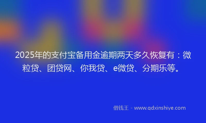 2025年的支付宝备用金逾期两天多久恢复有：微粒贷、团贷网、你我贷、e微贷、分期乐等。