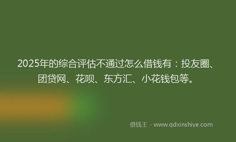 2025年的综合评估不通过怎么借钱有：投友圈、团贷网、花呗、东方汇、小花钱包等。