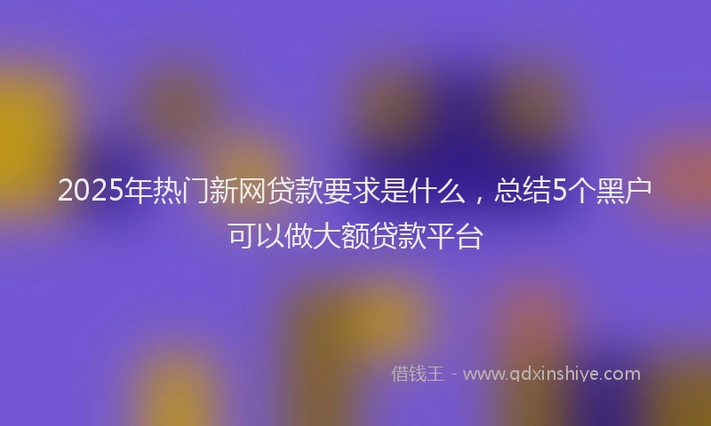 2025年热门新网贷款要求是什么，总结5个黑户可以做大额贷款平台