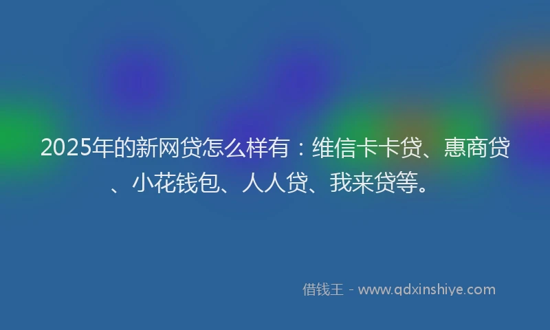 2025年的新网贷怎么样有：维信卡卡贷、惠商贷、小花钱包、人人贷、我来贷等。