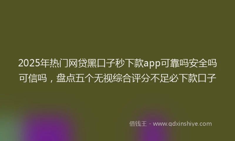 2025年热门网贷黑口子秒下款app可靠吗安全吗可信吗，盘点五个无视综合评分不足必下款口子