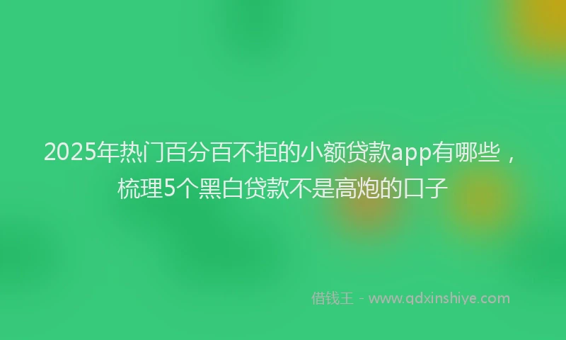 2025年热门百分百不拒的小额贷款app有哪些，梳理5个黑白贷款不是高炮的口子