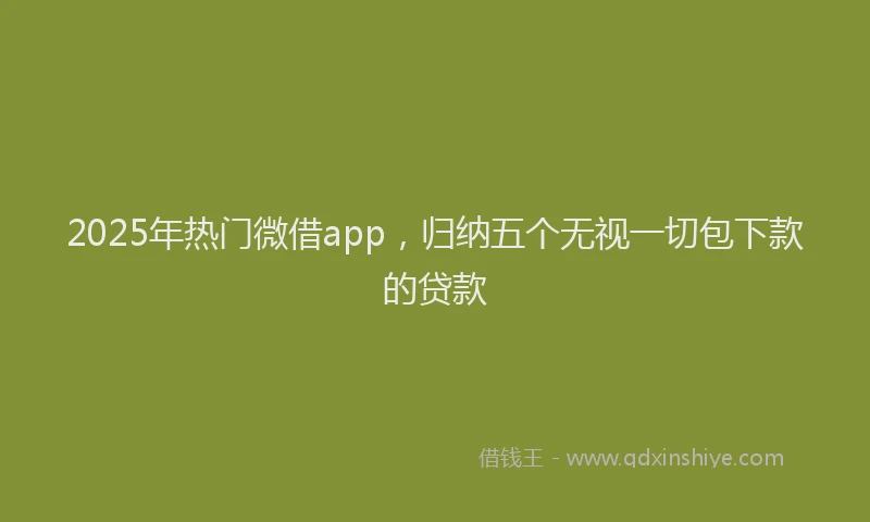2025年热门微借app，归纳五个无视一切包下款的贷款