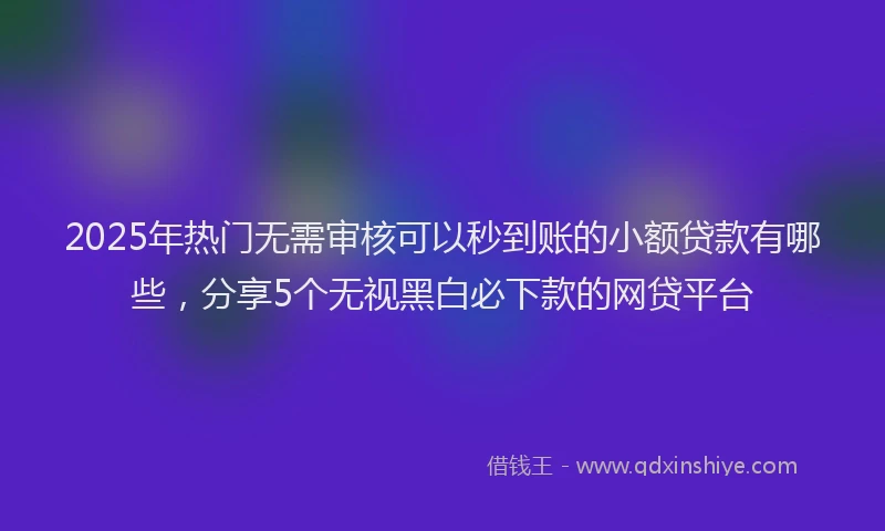 2025年热门无需审核可以秒到账的小额贷款有哪些，分享5个无视黑白必下款的网贷平台