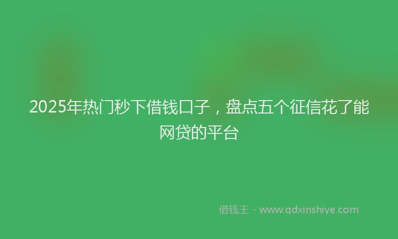 2025年热门秒下借钱口子，盘点五个征信花了能网贷的平台