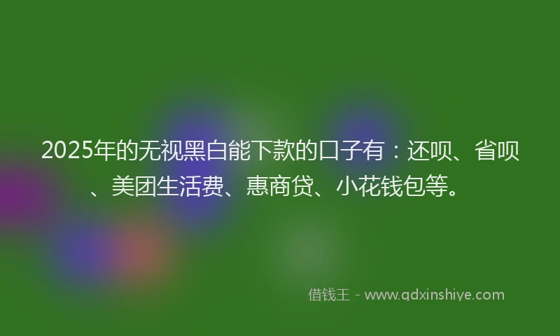 2025年的无视黑白能下款的口子有：还呗、省呗、美团生活费、惠商贷、小花钱包等。
