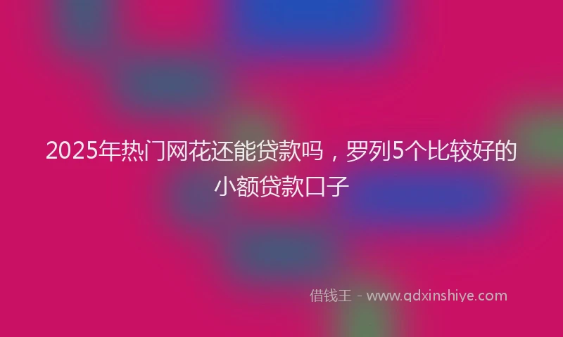 2025年热门网花还能贷款吗，罗列5个比较好的小额贷款口子