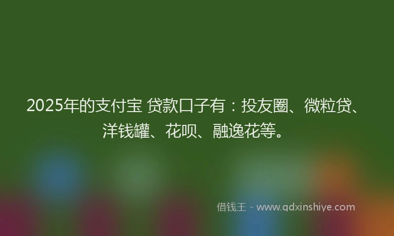 2025年的支付宝 贷款口子有：投友圈、微粒贷、洋钱罐、花呗、融逸花等。
