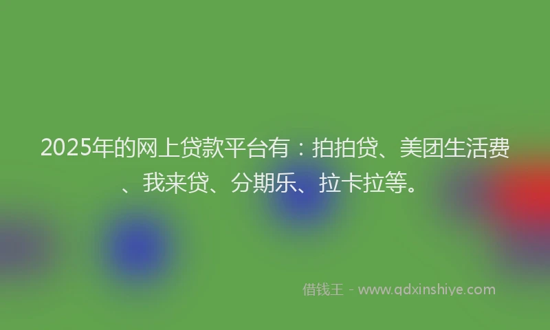 2025年的网上贷款平台有：拍拍贷、美团生活费、我来贷、分期乐、拉卡拉等。