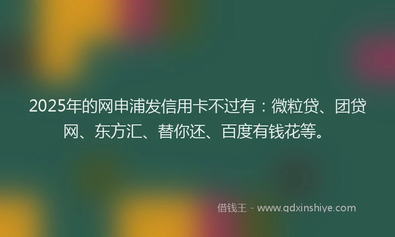 2025年的网申浦发信用卡不过有：微粒贷、团贷网、东方汇、替你还、百度有钱花等。