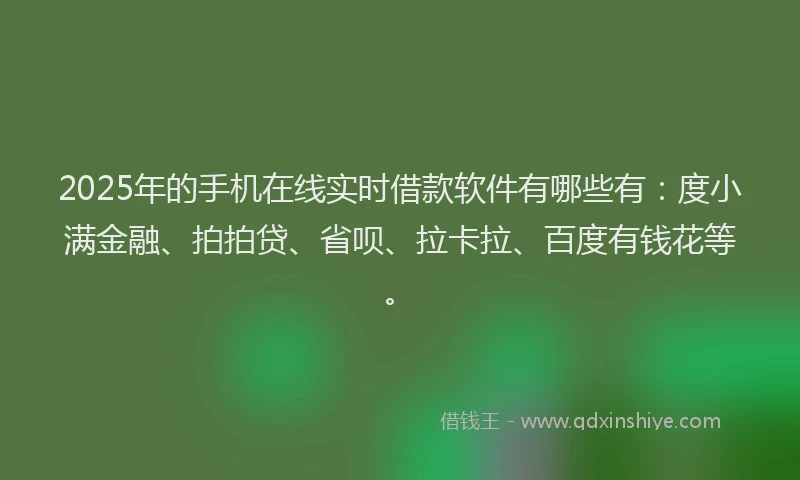 2025年的手机在线实时借款软件有哪些有：度小满金融、拍拍贷、省呗、拉卡拉、百度有钱花等。