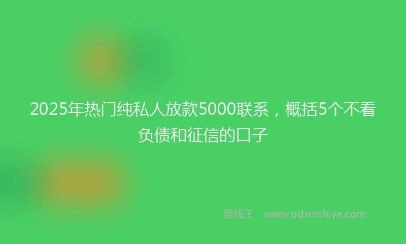 2025年热门纯私人放款5000联系，概括5个不看负债和征信的口子