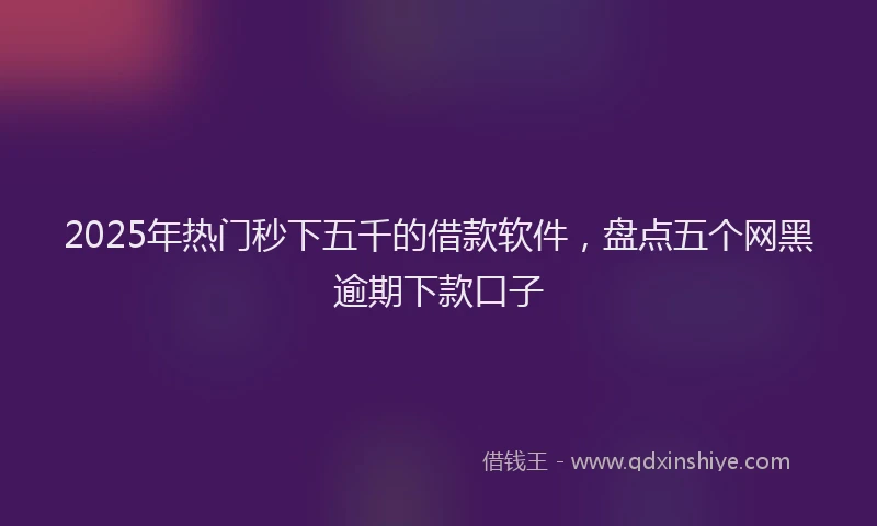 2025年热门秒下五千的借款软件，盘点五个网黑逾期下款口子