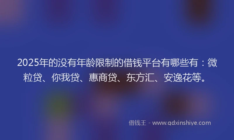 2025年的没有年龄限制的借钱平台有哪些有：微粒贷、你我贷、惠商贷、东方汇、安逸花等。