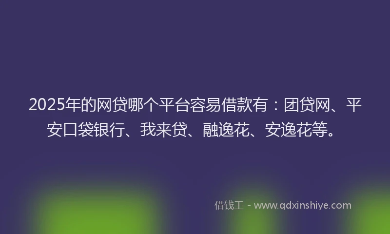2025年的网贷哪个平台容易借款有：团贷网、平安口袋银行、我来贷、融逸花、安逸花等。