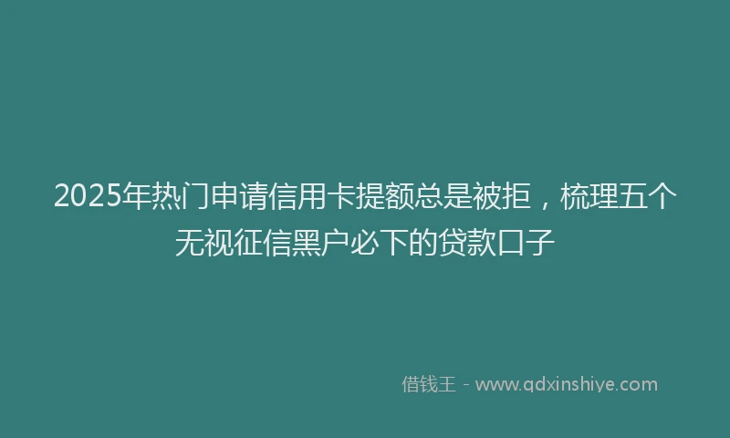 2025年热门申请信用卡提额总是被拒，梳理五个无视征信黑户必下的贷款口子