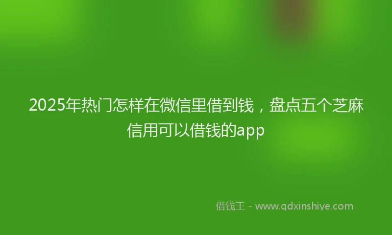 2025年热门怎样在微信里借到钱，盘点五个芝麻信用可以借钱的app
