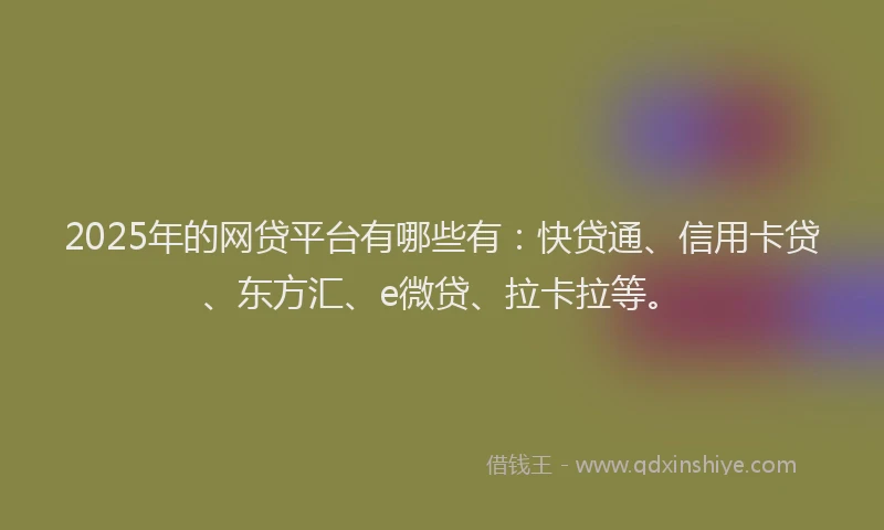 2025年的网贷平台有哪些有：快贷通、信用卡贷、东方汇、e微贷、拉卡拉等。