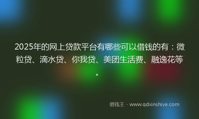 2025年的网上贷款平台有哪些可以借钱的有：微粒贷、滴水贷、你我贷、美团生活费、融逸花等。