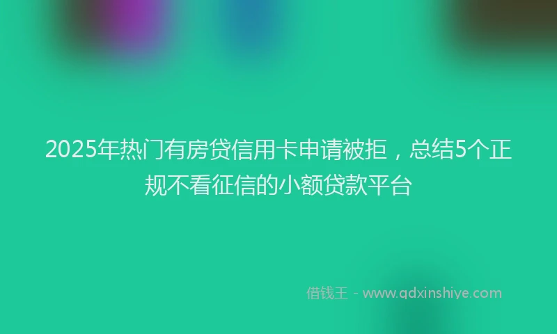 2025年热门有房贷信用卡申请被拒，总结5个正规不看征信的小额贷款平台