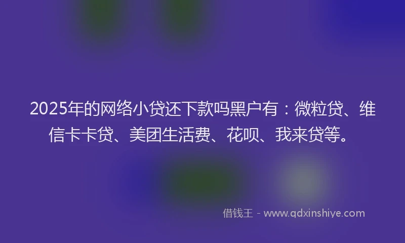 2025年的网络小贷还下款吗黑户有：微粒贷、维信卡卡贷、美团生活费、花呗、我来贷等。