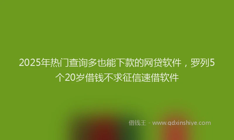 2025年热门查询多也能下款的网贷软件，罗列5个20岁借钱不求征信速借软件