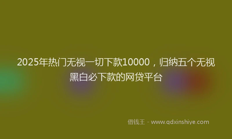 2025年热门无视一切下款10000，归纳五个无视黑白必下款的网贷平台