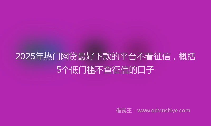 2025年热门网贷最好下款的平台不看征信，概括5个低门槛不查征信的口子