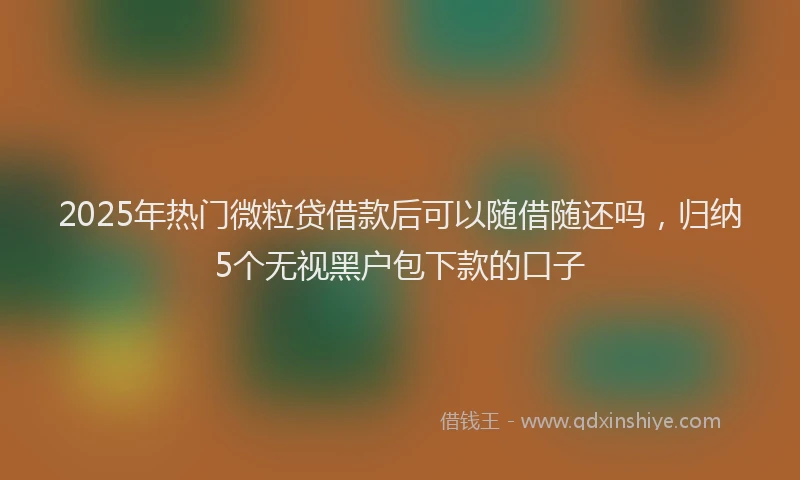 2025年热门微粒贷借款后可以随借随还吗，归纳5个无视黑户包下款的口子