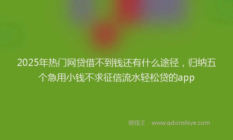 2025年热门网贷借不到钱还有什么途径，归纳五个急用小钱不求征信流水轻松贷的app