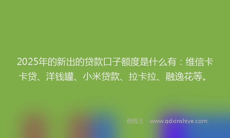 2025年的新出的贷款口子额度是什么有：维信卡卡贷、洋钱罐、小米贷款、拉卡拉、融逸花等。