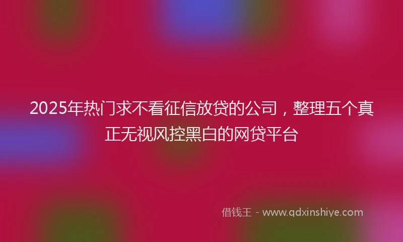 2025年热门求不看征信放贷的公司，整理五个真正无视风控黑白的网贷平台