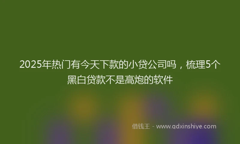 2025年热门有今天下款的小贷公司吗，梳理5个黑白贷款不是高炮的软件