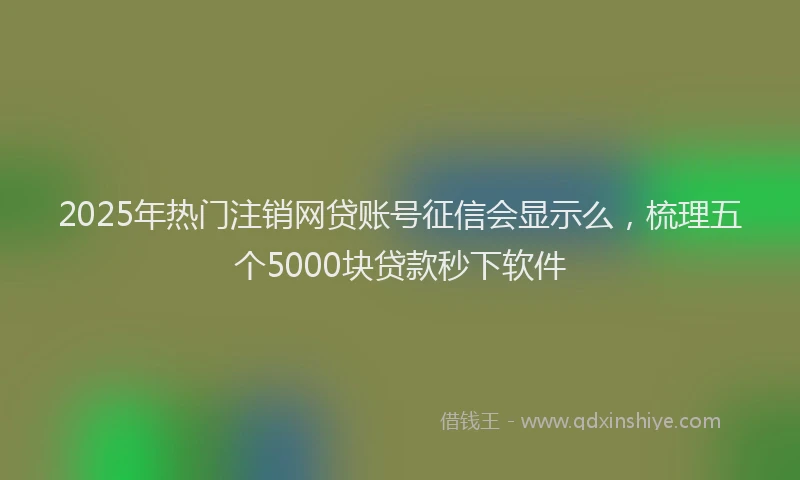2025年热门注销网贷账号征信会显示么，梳理五个5000块贷款秒下软件