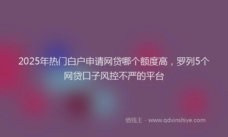 2025年热门白户申请网贷哪个额度高，罗列5个网贷口子风控不严的平台