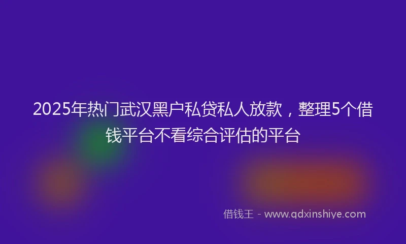 2025年热门武汉黑户私贷私人放款，整理5个借钱平台不看综合评估的平台