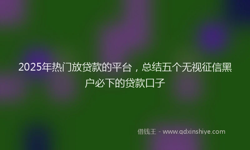 2025年热门放贷款的平台，总结五个无视征信黑户必下的贷款口子