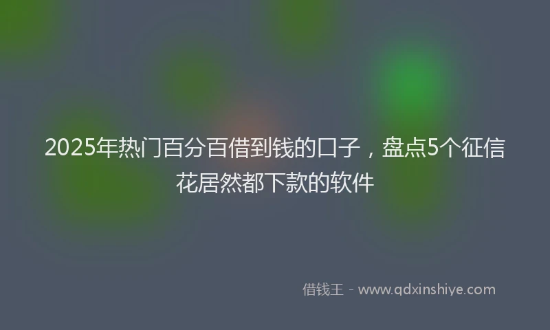 2025年热门百分百借到钱的口子，盘点5个征信花居然都下款的软件