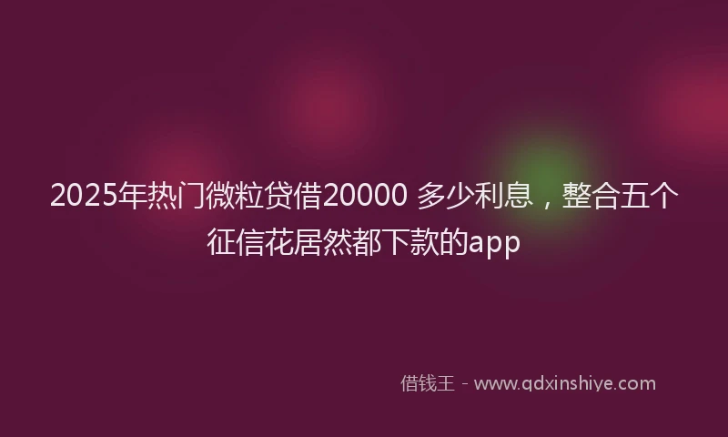2025年热门微粒贷借20000 多少利息，整合五个征信花居然都下款的app