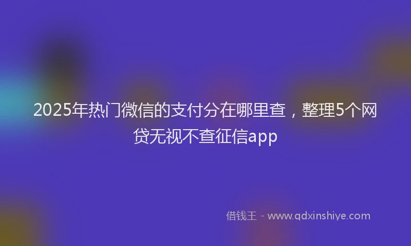 2025年热门微信的支付分在哪里查，整理5个网贷无视不查征信app