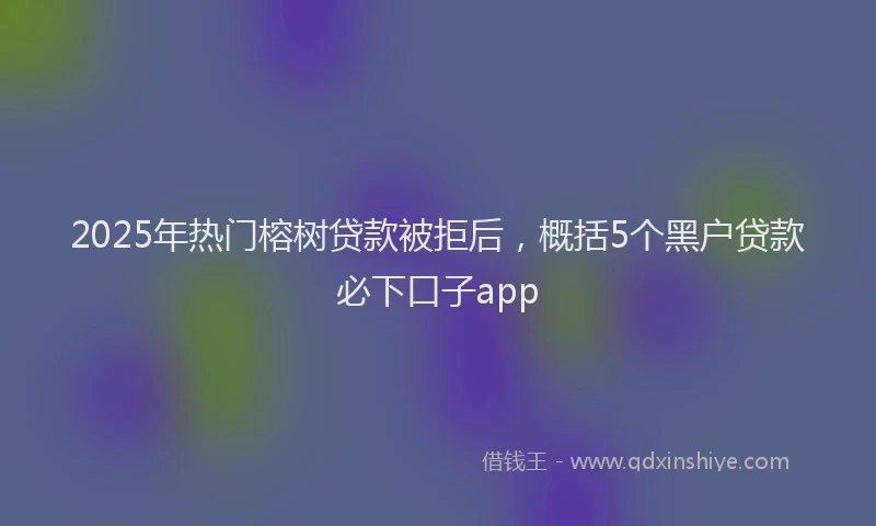2025年热门榕树贷款被拒后，概括5个黑户贷款必下口子app