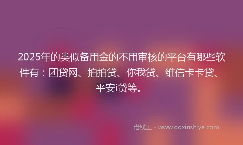2025年的类似备用金的不用审核的平台有哪些软件有：团贷网、拍拍贷、你我贷、维信卡卡贷、平安i贷等。