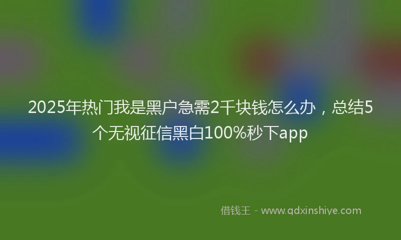 2025年热门我是黑户急需2千块钱怎么办，总结5个无视征信黑白100%秒下app